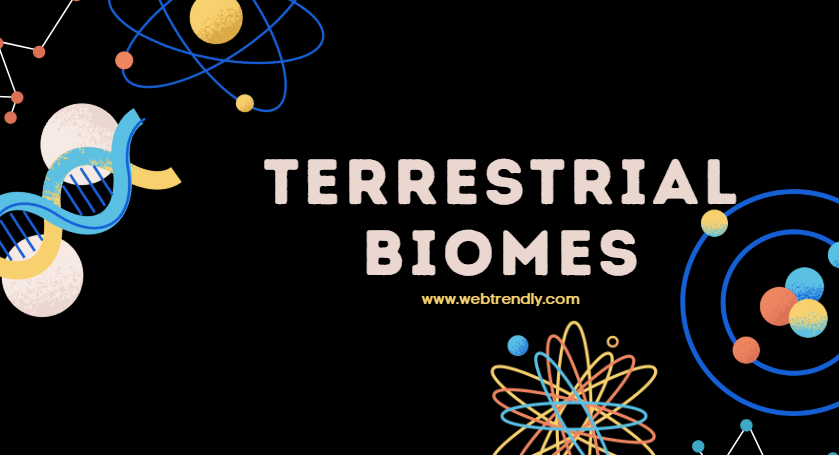 Terrestrial biomes