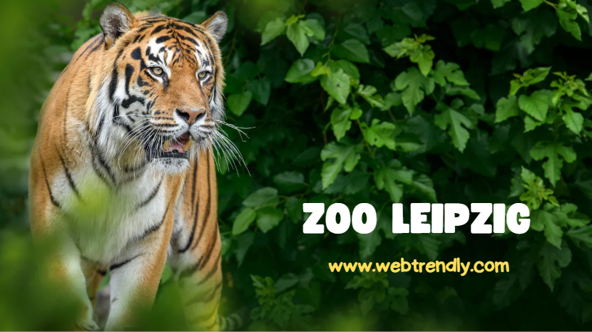 Zoo leipzig